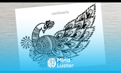 How to draw Mandala for Beginners Peacock mandala art peacock drawing stepbystep doodle art