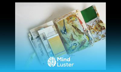 Vintage Junk Journal Flip Through