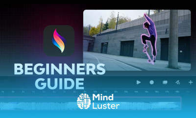 Procreate Dreams Tutorial Beginners Quick Start Guide