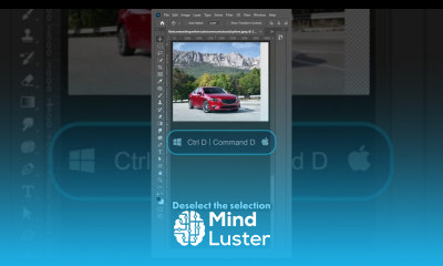  Scale an Image Without Stretching It in Photoshop