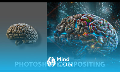 Pro Photo Manipulation Techniques in Photoshop Creative Brain Composite