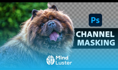 Insanely Difficult Selections MADE EASY with Alpha Channels in Photoshop