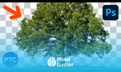 3 Powerful Techniques To CUT OUT Trees In Photoshop WITHOUT Halos or Fringing