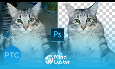 Cut Out Fur From Busy Backgrounds In Photoshop