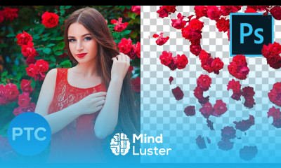 Better Cut Outs with This Color Range Photoshop Trick 90 Second Tip 11