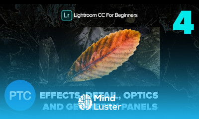 The Effects Detail Optics and Geometry Panels Lightroom CC for Beginners FREE Course 04