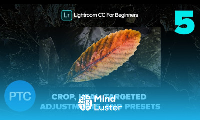 Crop Heal Targeted Adjustments and Presets Lightroom CC for Beginners FREE Course 05