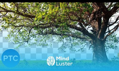 Two POWERFUL Photoshop Cut Out Techniques Difficult Selections Made FAST and EASY