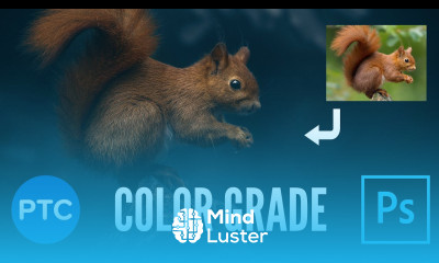 Apply a Trendy Moody Color Grade in Photoshop Also Works with Lightroom