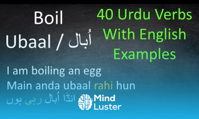 Basic Urdu Verbs with Examples Urdu Grammar Lesson