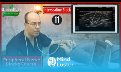 Interscaline Block Ultrasound Guided peripheral Nerve Blocks Course Mohamed Hamada 11