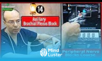 Axillary Brachial Plexus Block Ultrasound Guided peripheral Nerve Blocks Course Mohamed Hamada 14