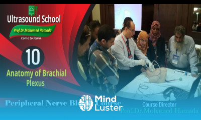 Anatomy of BrachialPlexus Ultrasound Guided peripheral Nerve Blocks Course Mohamed Hamada 10