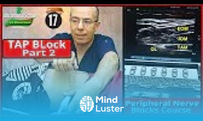 TAP Block part2 Ultrasound Guided peripheral Nerve Blocks Course Mohamed Hamada 17