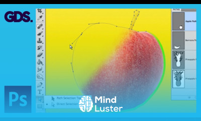 Using The Pen Tool Paths In Adobe Photoshop
