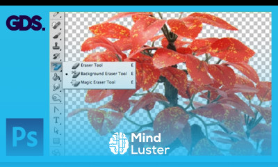 The Background Eraser Tool In Adobe Photoshop