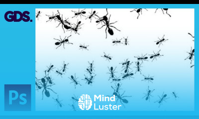 Create A Custom Brush In Adobe Photoshop