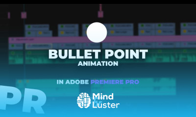 Bullet Point Animation in Adobe Premiere Pro 2 Minute Tutorial