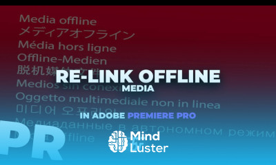Adobe Premiere Pro How To Fix Media Offline 1 Minute Tutorial