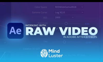 Access RAW Settings in Adobe After Effects R3D RAW