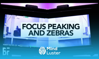 What is Focus Peaking and Zebras