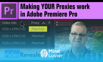 Make YOUR Proxies work in Adobe Premiere Pro