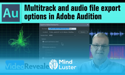 Multitrack and audio file export options in Adobe Audition
