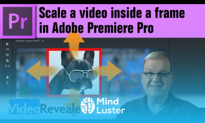 Scale a video inside a frame in Adobe Premiere Pro