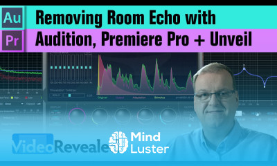 Removing room echo with Audition Premiere Pro Unveil