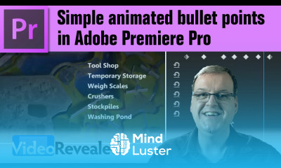 Simple animated bullet points in Adobe Premiere Pro