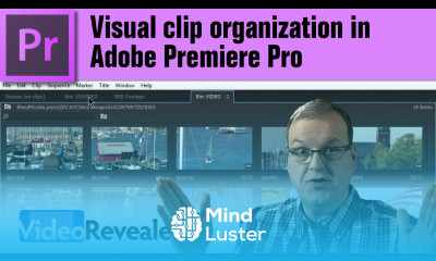 Visual clip organization in Adobe Premiere Pro