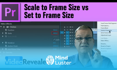 Set to Frame Size vs Scale to Frame Size