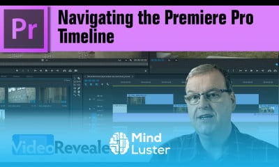 Easy Timeline navigation in Adobe Premiere Pro