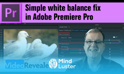 Simple white balance fix in Adobe Premiere Pro