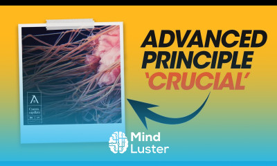 You NEED To Break This Design Rule To Be a PRO