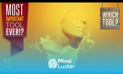 THE MOST IMPORTANT Tool In Illustrator Satori Graphics