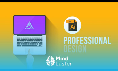 AMATEUR vs PRO DESIGN Technical Aspects