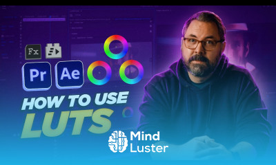 How to Use LUTs in Premiere Pro Adobe Video x filmriot