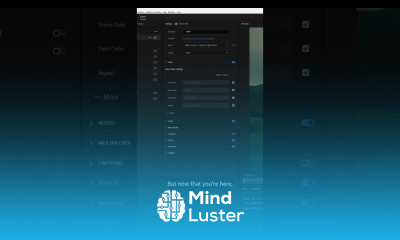 Exporting in PremierePro with filmriot shorts