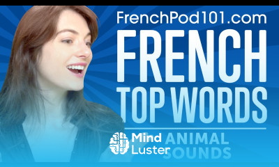 Learn the Top 10 Animal Sounds in French