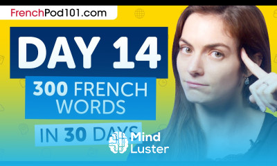 Day 14 140 300 Learn 300 French Words in 30 Days Challenge