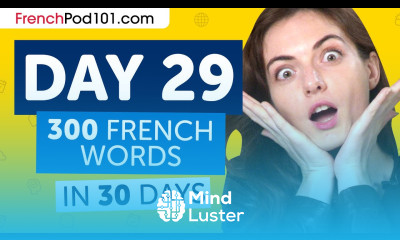 Day 29 290 300 Learn 300 French Words in 30 Days Challenge