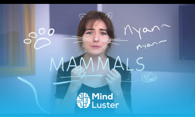 Weekly French Words with Lya Mammals