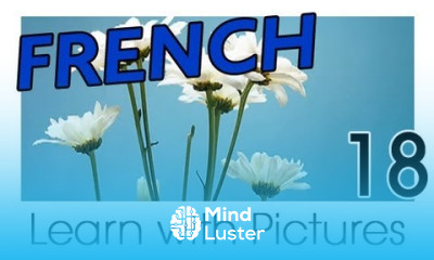 Learn French French Plants Vocabulary