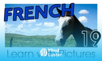 Learn French French Farm Animals Vocabulary