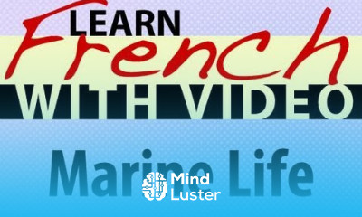 Learn French with Videos Marine Life