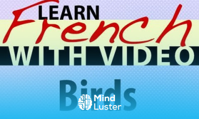Learn French with Videos Birds