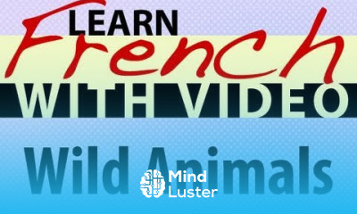 Learn French with Videos Wild Animals