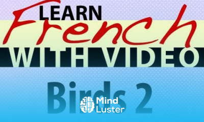Learn French with Videos Birds 2