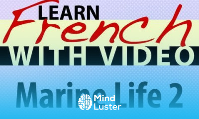 Learn French with Videos Marine Life 2